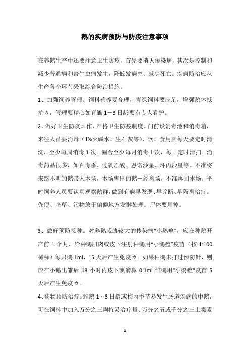 鹅的疾病预防与防疫注意事项