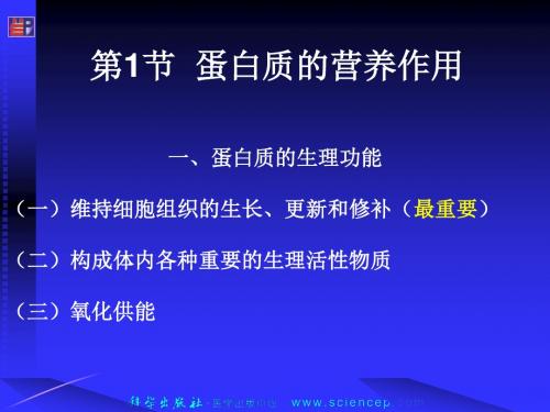 生物化学第氨基酸代谢