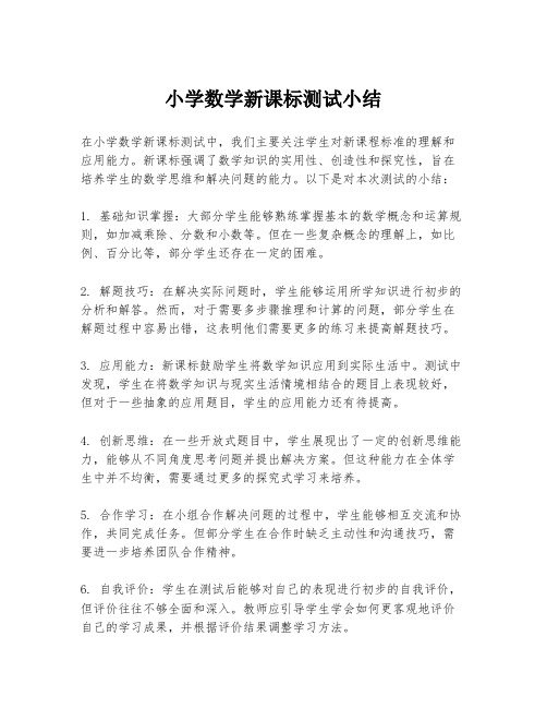 小学数学新课标测试小结