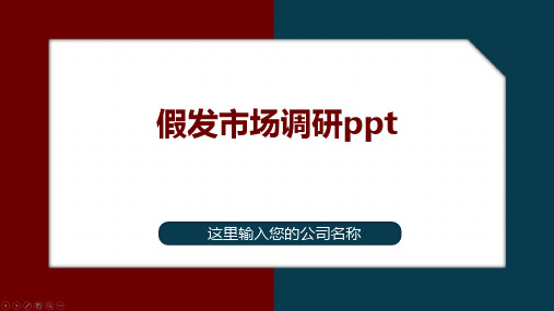 假发市场调研ppt