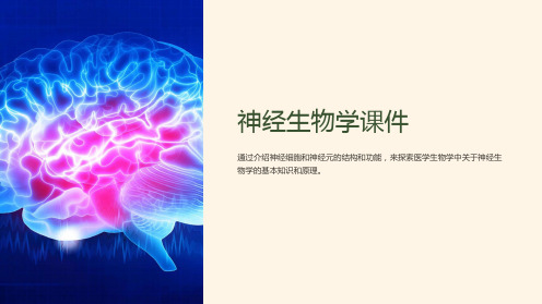 《神经生物学课件》医学生物学医学神经生物学PPT课件