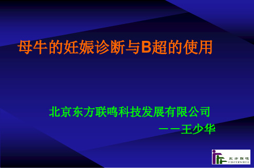 母牛的妊娠诊断与B超的使用(新)