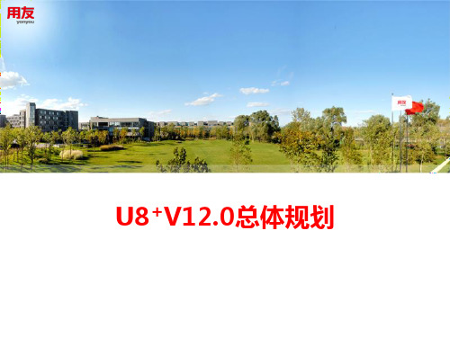 用友 U8 V12.0