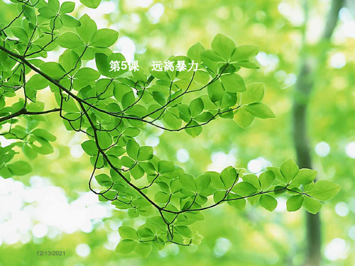 八年级政治 第二单元 明辨善恶是非 第五课 远离暴力 第1站 暴力影响生活