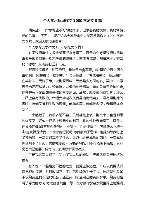 个人学习反思作文1000字范文5篇