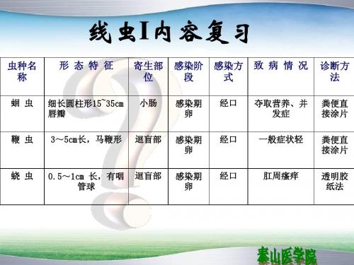 线虫2-本科