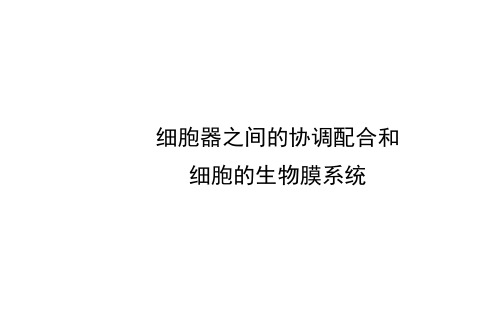 细胞器之间的协调配合和细胞的生物膜系统 课件