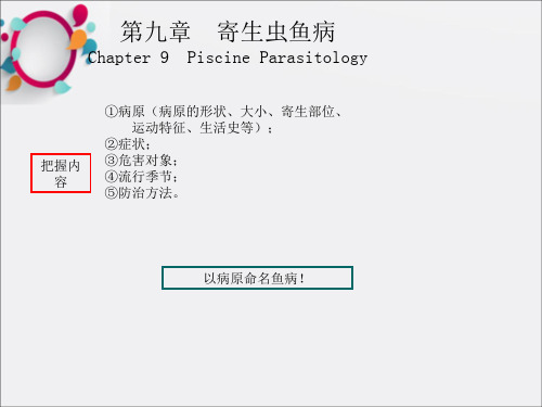 《寄生虫鱼病》PPT课件
