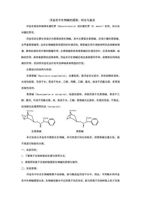 洋金花中生物碱的提取、纯化与鉴定