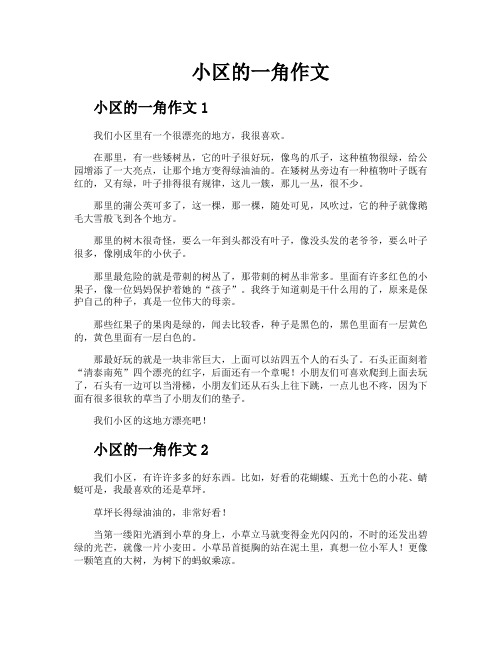 小区的一角作文