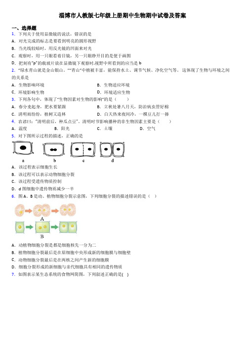 淄博市人教版七年级上册期中生物期中试卷及答案