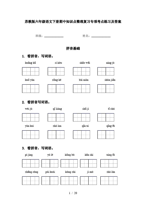 苏教版六年级语文下册期中知识点整理复习专项考点练习及答案