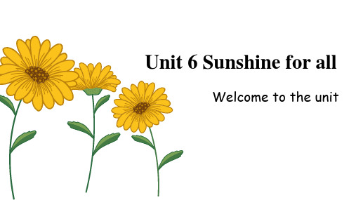 牛津译林版8B Unit 6 Sunshine for all Welcome to the uni