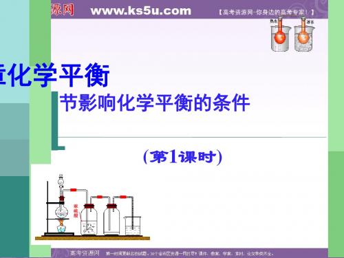 化学课件《影响化学平衡的条件》优秀ppt4 人教版