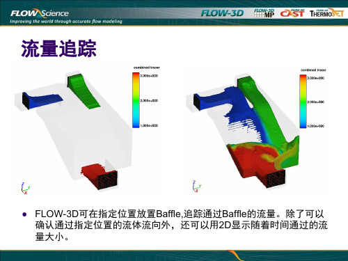 FLOW3D 流量监测