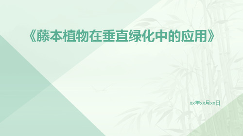 藤本植物在垂直绿化中的应用