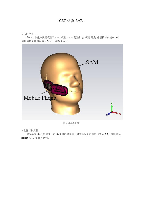 CST计算SAR