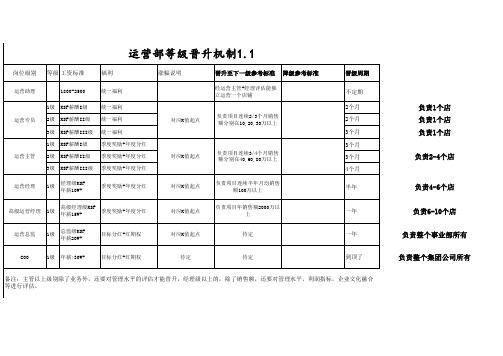 运营部等级晋升机制1.1