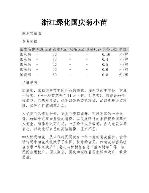 浙江绿化国庆菊小苗