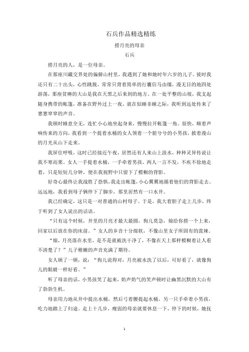 高考语文二轮文学类文本专题复习--石兵作品精选精练