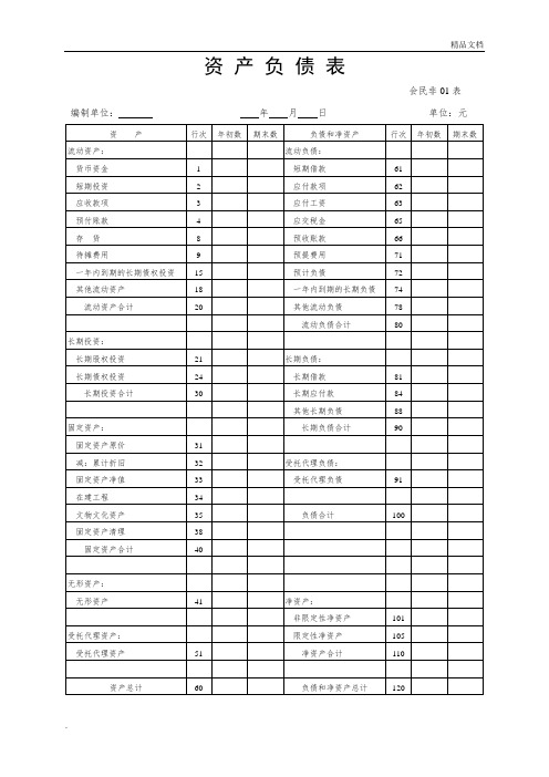 民办非企业单位年度财务会计报告