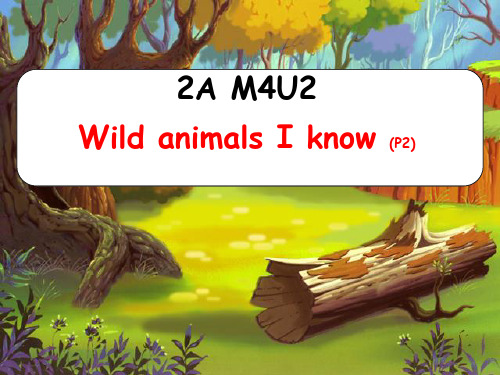 牛津上海版二年级上册英语Module4 Unit 2 In the forest (Wild animals I know )课件