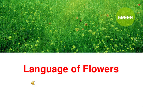 the language of flowers概述