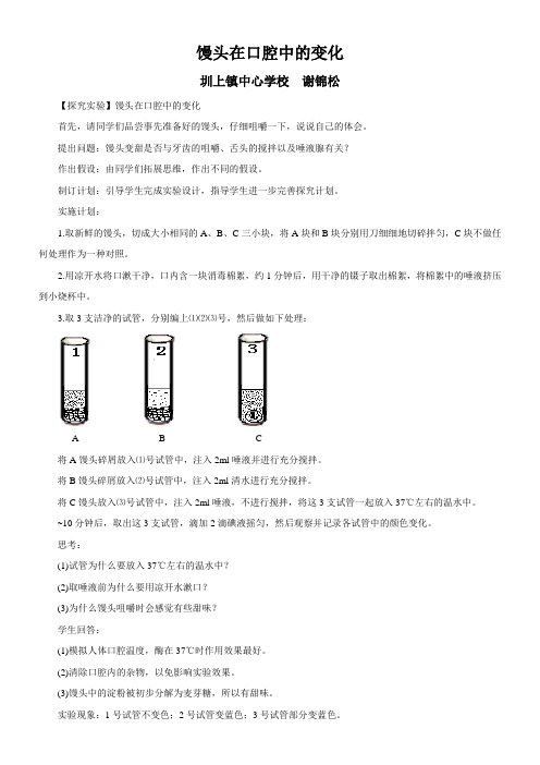 馒头在口腔中的消化