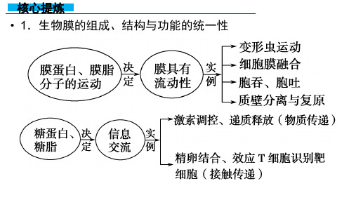 2019生物二轮复习生物膜的结构与功能