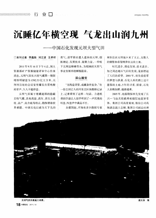 沉睡亿年横空现 气龙出山润九州——中国石化发现元坝大型气田