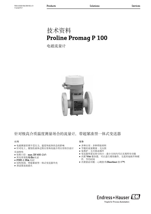 E+H 电磁流量计 (Endress+Hauser) Proline Promag P 100 技术资料