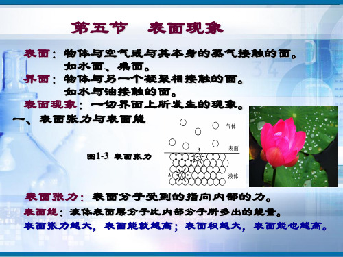 第五节表面现象