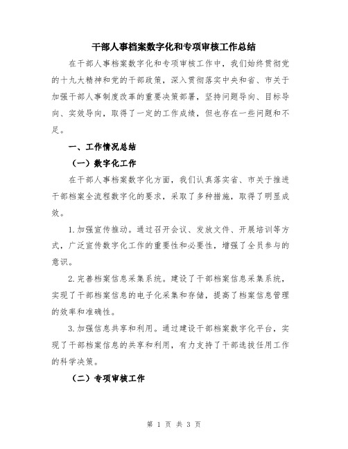 干部人事档案数字化和专项审核工作总结