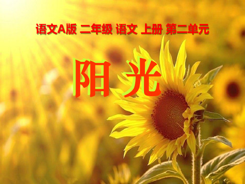 语文A版语文二上《阳光》ppt课件