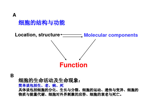 医学细胞生物学：第二篇 细胞的结构与功能