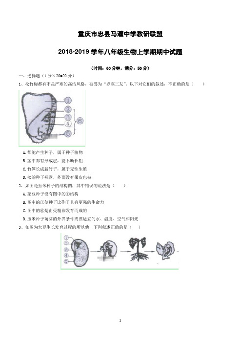 重庆市忠县马灌中学教研联盟2018_2019学年八年级生物上学期期中试题(附答案)