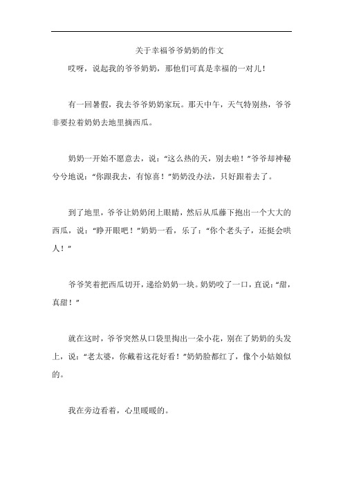 关于幸福爷爷奶奶的作文