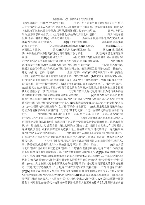 《游褒禅山记》中的20个“其”字汇解