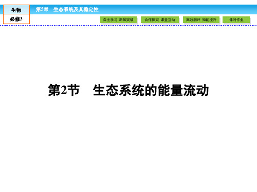 人教版高中生物必修三 第5章 生态系统及其稳定性 5.2《生态系统的能量流动