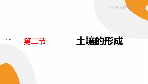 《土壤的形成》课件-2021-2022学年高一地理湘教版(2019)必修第一册全