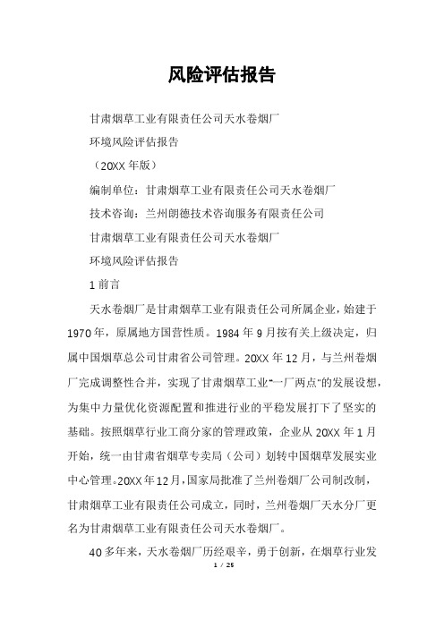 风险评估报告