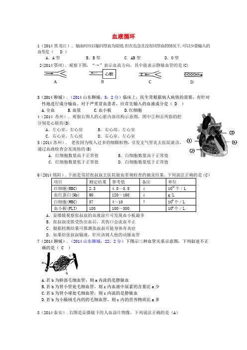 中考生物真题分类汇编 血液循环