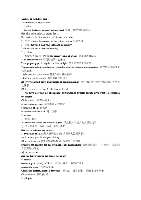 u2-5The Fifth Freedom