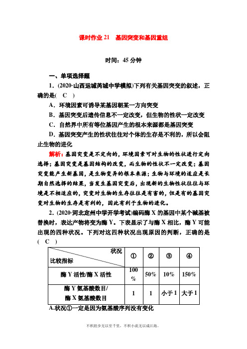 2021新高考生物一轮复习(山东专用)第21讲 基因突变和基因重组 