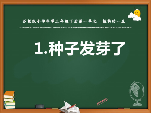 苏教版小学科学三年级下册《种子发芽了》课件