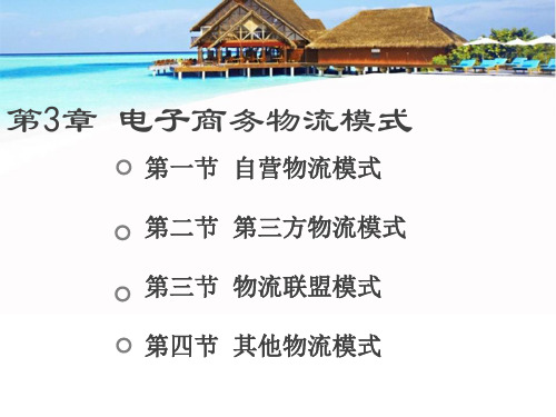 《电子商务物流》课件：第3章 电子商务物流模式