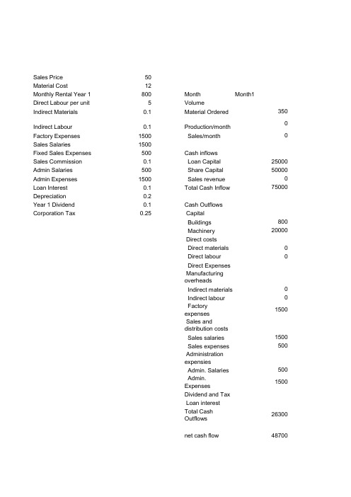 Financial Cash Flow Forecast财务现金流量预测