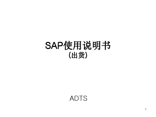 SAP SD使用手册