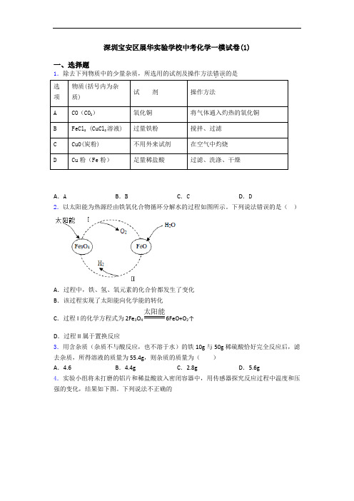 深圳宝安区展华实验学校中考化学一模试卷(1)