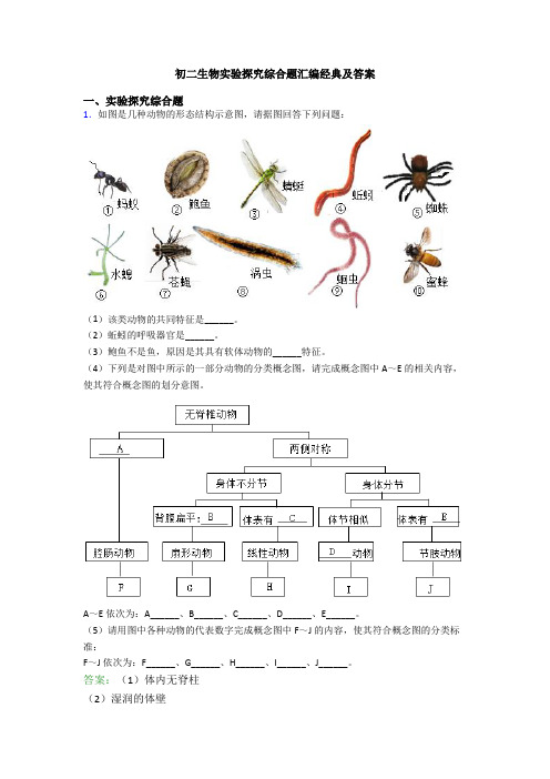 初二生物实验探究综合题汇编经典及答案